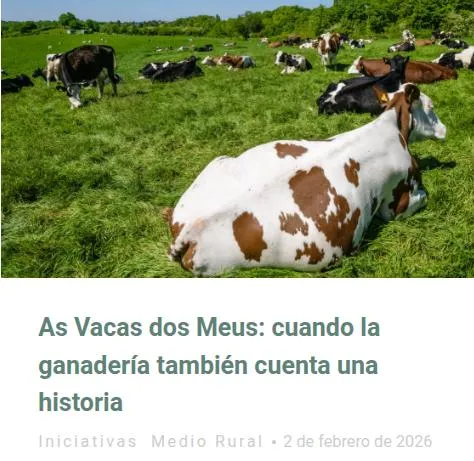 Mercado de la Cosecha