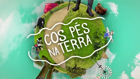 Cos pés na terra